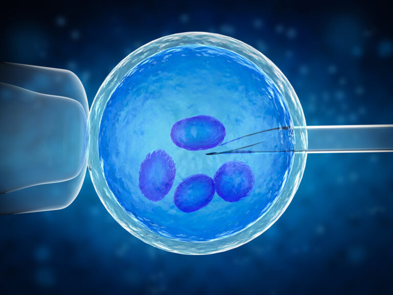 3d rendering ovum with needle artificial insemination vitro fertilization