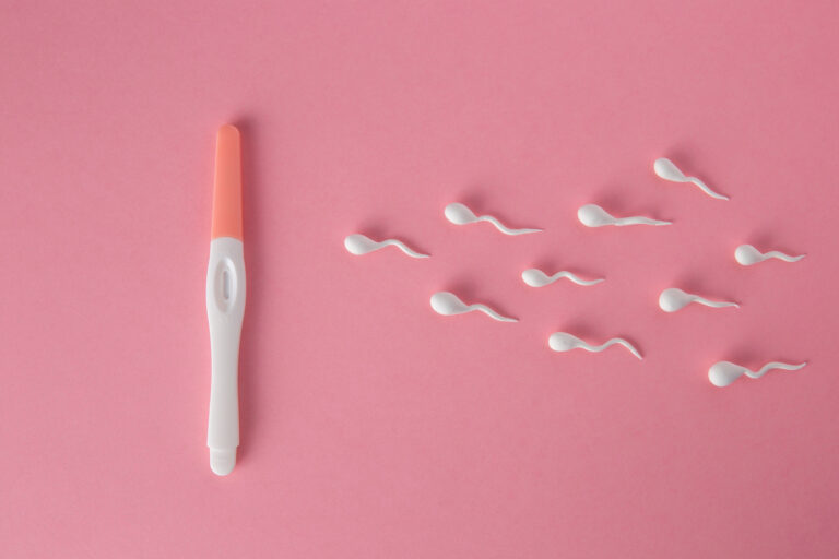 flat lay fertility test spermatozoa