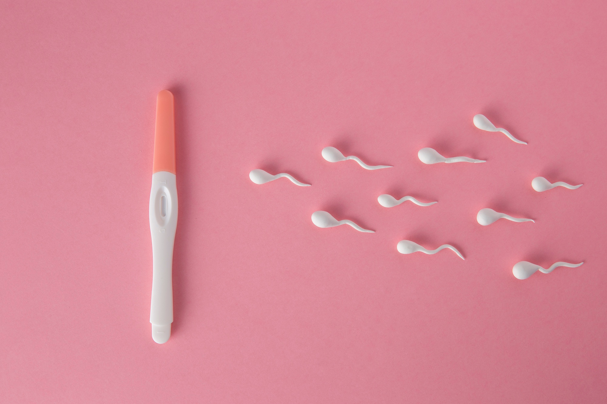 Understanding Ovulation Prediction Kits: How They Help You Get Pregnant ...