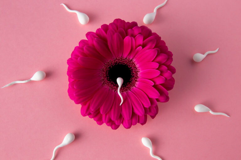 flat lay spermatozoa pink flower
