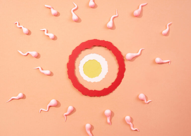 still life ovary surrounded by spermatozoid